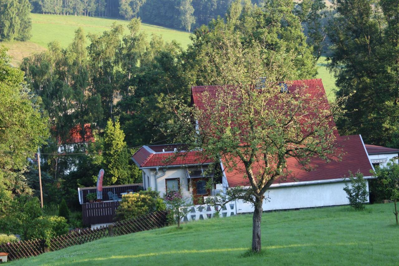 Ferienhaus Dani Bad Gottleuba-Berggiesshuebel Exterior photo